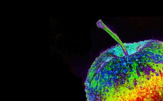 五彩水果壁纸，自然，桌面，颜色，明亮，艺术，深色，抽象