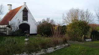 达姆、白宫、布鲁日、建筑、植物、草、建筑结构、宗教