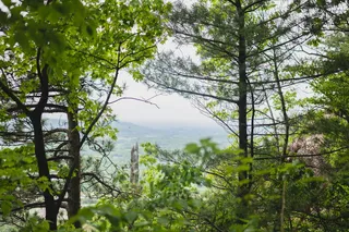 森林、徒步旅行、新泽西、新泽西、格林、树木、旅游、尼康