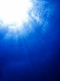 无标题，下面，下面，蓝色，深，潜水，潜水，轻