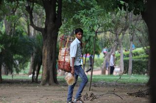 当地卖家、印度人、小企业主、树、一人、植物、全长、休闲服装