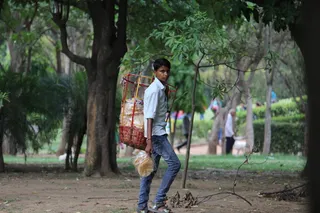 当地卖家、印度人、小企业主、树、一人、植物、全长、休闲服装