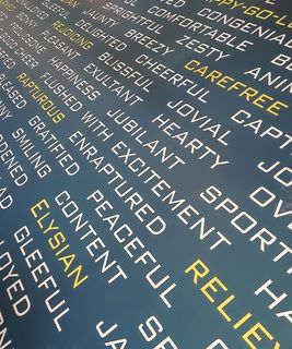 文本的全帧快照