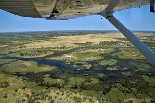 博茨瓦纳、okavango、delta、maun、景观、环境、场景-自然、鸟瞰