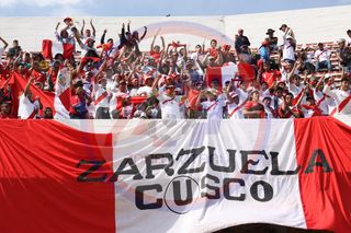 秘鲁，玻利维亚，秘鲁球迷，和平，秘鲁选择，俄罗斯2018年预选赛，迭戈·维蒂兹，人群