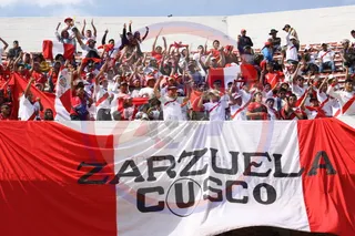 秘鲁，玻利维亚，秘鲁球迷，和平，秘鲁选择，俄罗斯2018年预选赛，迭戈·维蒂兹，人群