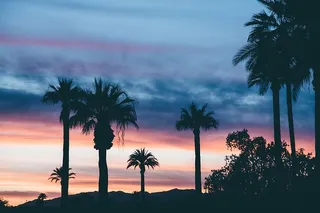 云，黎明，黄昏，棕榈树，剪影，天空，日出，日落