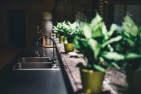 绿叶植物,模糊,特写,舒适室,水龙头,家具,玻璃,家 绿叶植物,模糊,特写,舒适室,水龙头,家具,玻璃,家