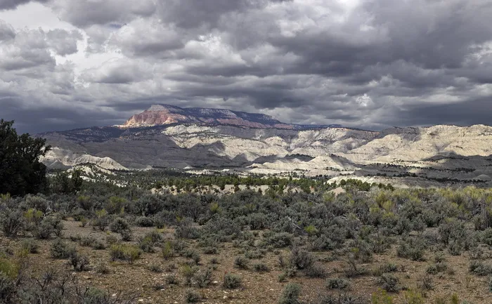 美国，亨利维尔，12号国道，旅游目的地，户外，自然，斑驳的阳光，无人
