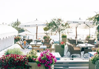 红色和粉色花瓣的花和天井套装