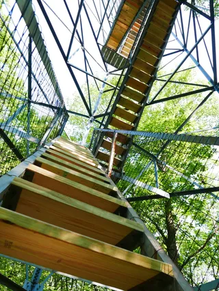 成长、阶梯、成功、进步、发展、职业、挑战、抱负