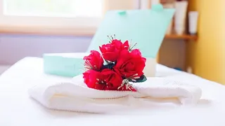 花卉、背景、文案空间、美容、沙龙、化妆品、红色、蓝色