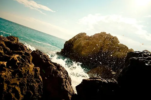 法国，尼斯，尼斯港，多岩石，潮湿，珊瑚，坠毁，阳光普照