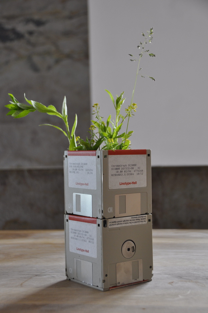 diy、Disketten、upcycle、修补程序、生长、植物、无人、自然