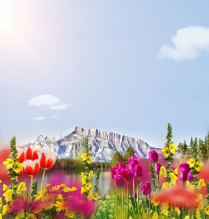 花，山，天，前景，春天，背景，文本dom，复制空间