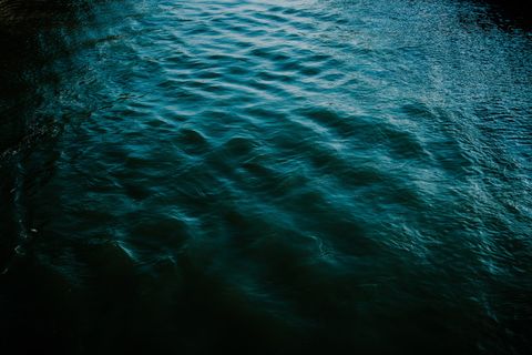 水体的特写照片