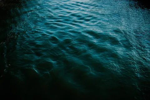 水体的特写照片 水体的特写照片
