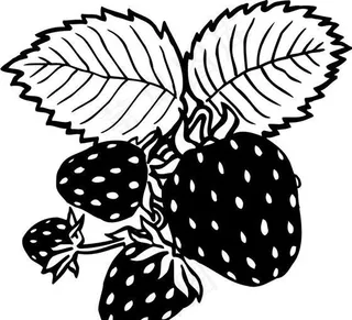 草霉 水果 矢量素材 EPS格式_0010