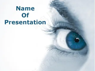 人物视野PPT模板