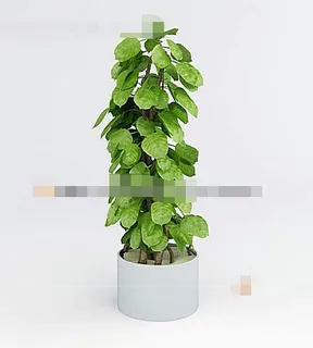 盆栽花草3d max模型下载