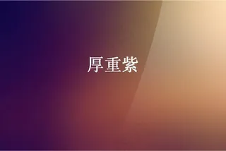 厚重紫背景PPT模板