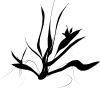 Java植物剪贴画