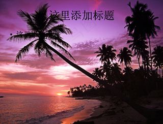 海边黄昏椰影PPT模板范文素材风...