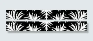 黑白树叶条纹