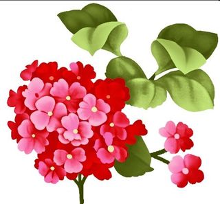 小红花