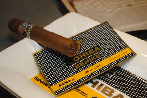 高西巴bhk52图片