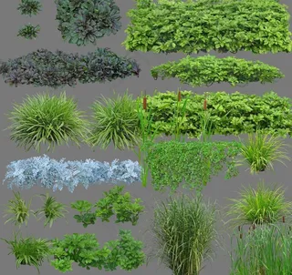 园林绿化设计景观树木图片