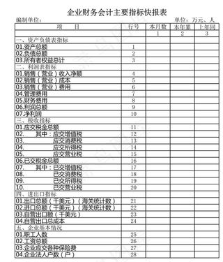 企业财务会计主要指标快报表