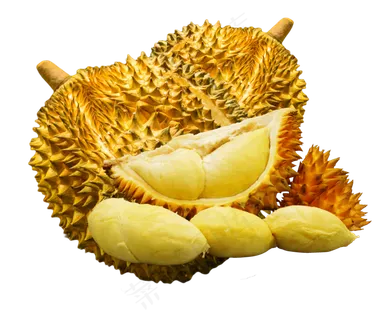 免抠元素一堆榴莲金枕头