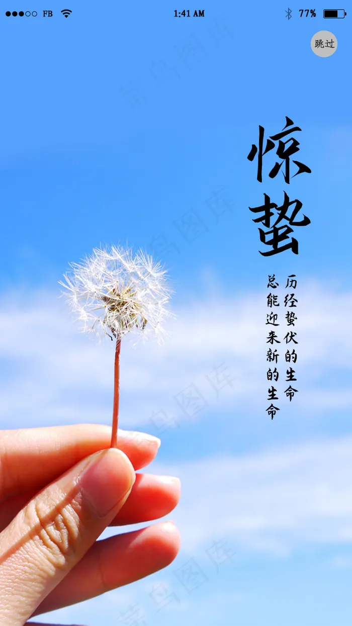 简约二十四节气惊蛰app闪屏psd模版下载