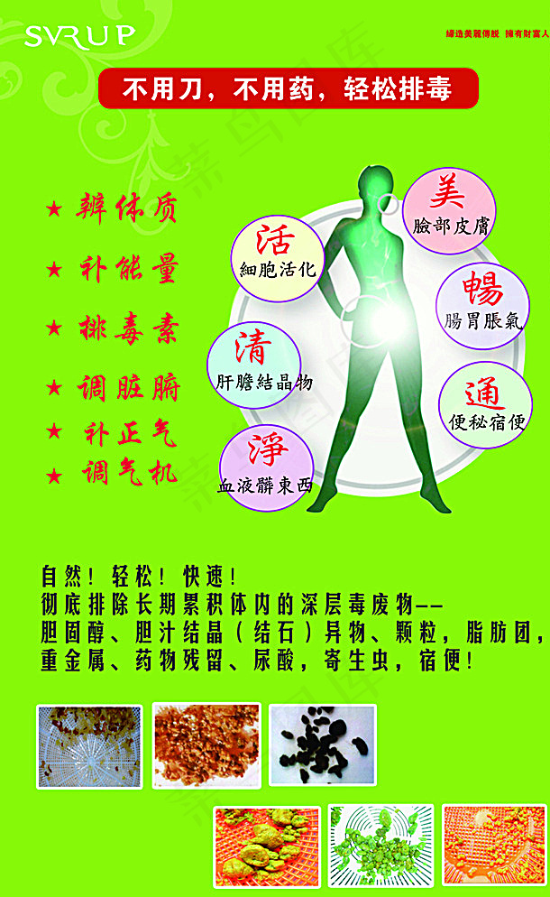 肝胆排毒图片
