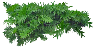 百款园林景观后期绿化素材