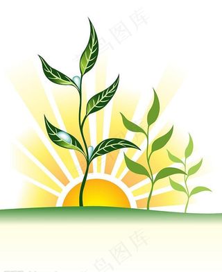 小草和太阳图片
