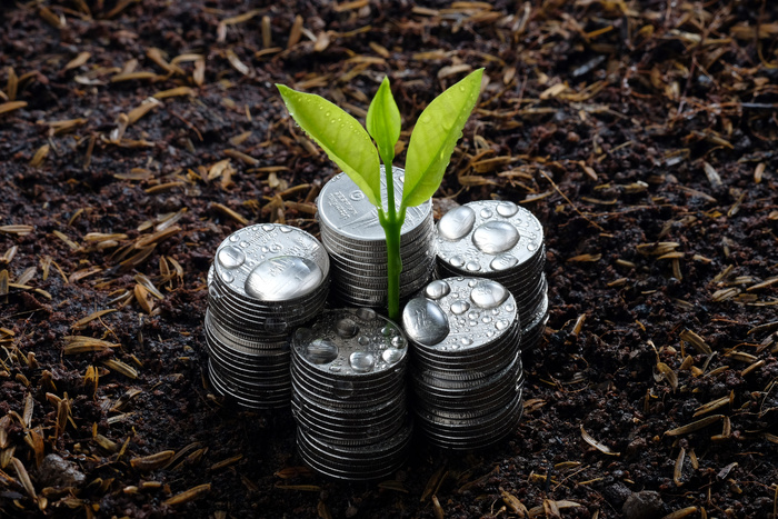 金币嫩芽小树苗孵化培育理财商务金融财富主题素材