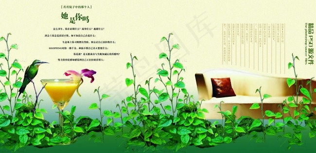 鸟语花香