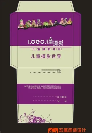 炫紫光盘封套十二