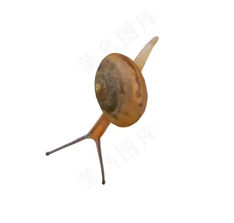 蜗牛