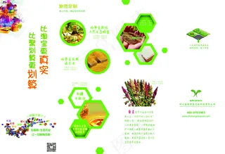 四折页DM单设计