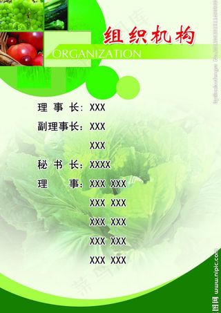 组织机构图片