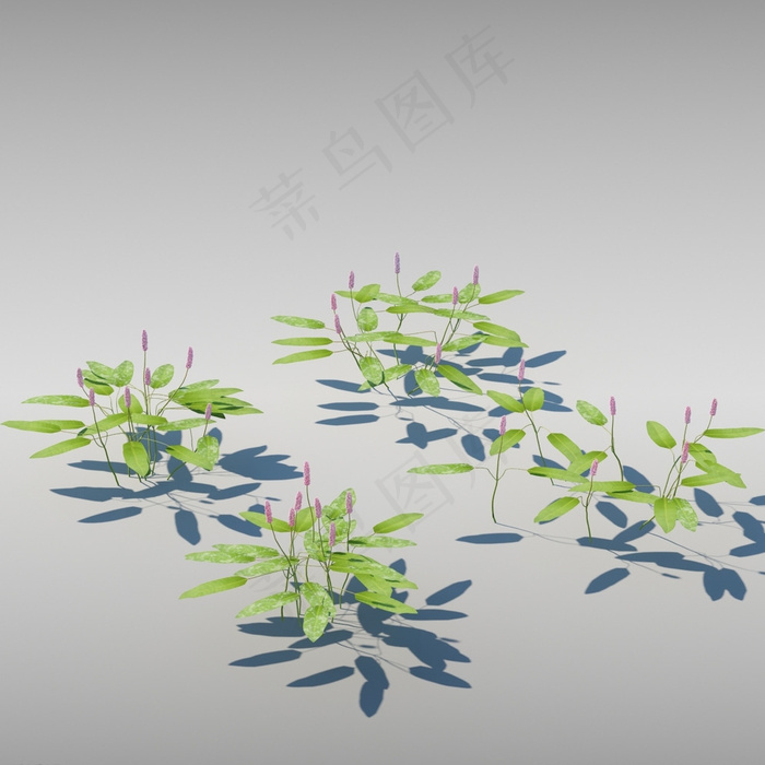 草模型图片