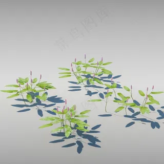 草模型图片
