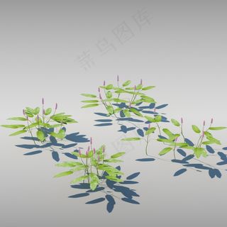 草模型图片
