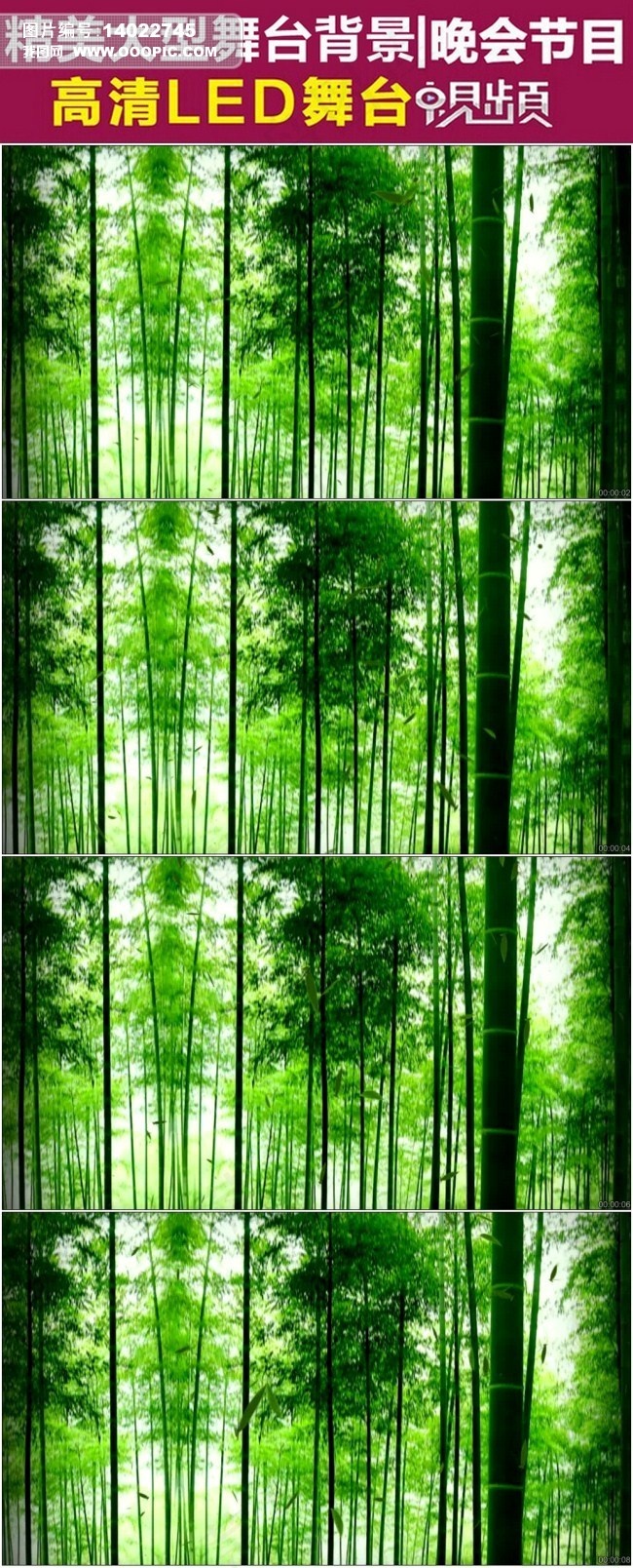 有音乐翠绿的竹林竹叶LED视频