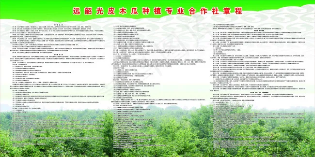 章程(7558X3779(DPI:80))psd模版下载
