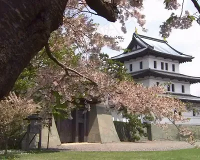樱花丛中的寺院