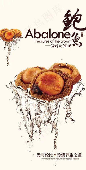 鲍鱼海报 鲍鱼海报